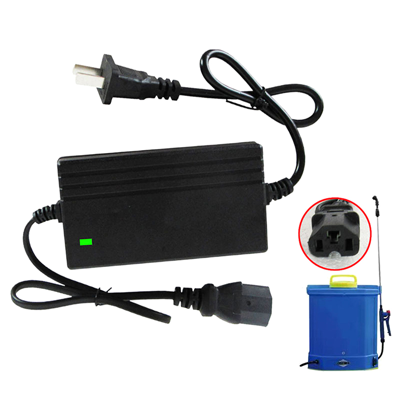 1A Lithium-Batterie-Ladegerät  – Crossfit Machine Bewertung und Preis